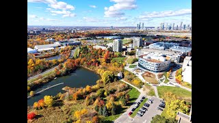 York University YORKU  Keele Campus Aerial View in Fall Season [upl. by Ida770]