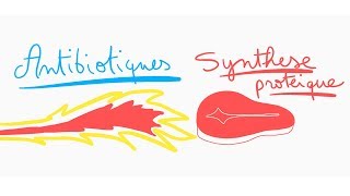 🔴 ANTIBIOTIQUES CONTRE LA SYNTHESE PROTEIQUE EN 10 MIN   DR ASTUCE [upl. by Namharludba]