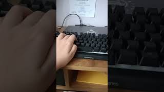 Steelseries APEX 3 TKL keyboard ASMR [upl. by Eniawd]