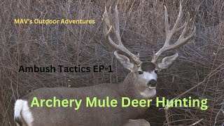 Mastering Ambush Tactics Archery Hunting Trophy Mule Deer Bucks EP1 muledeerhunting bowhunting [upl. by Ycnan]