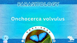 L2 Part2  Lymphatic filariasis Onchocerca volvulus  Parasitology [upl. by Asher]