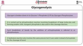 Glycogenolysis [upl. by Service293]