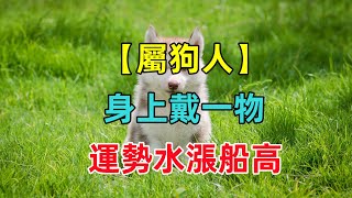 【屬狗終身吉祥物】屬狗人身上戴一物，運勢水漲船高，財富不差錢！ [upl. by Einaej574]