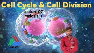 Cell Cycle and Division l Lecture 07 l Thorax100 [upl. by Polly]