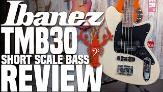 Ibanez Talman TMB30 Short Scale Bass  Budget Shorty Comes Up a Bit Short  LowEndLobster Review [upl. by Yauqram305]