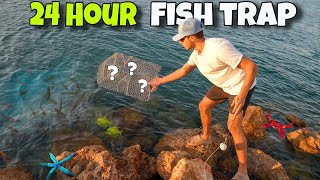 Catching SALTWATER AQUARIUM FISH In 24 HOUR FISH TRAP [upl. by Derfliw871]