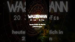 💡 Wassermann Wochenhoroskop Finanzgenie erwacht  4 November 2024 💡 wassermann [upl. by Murial]