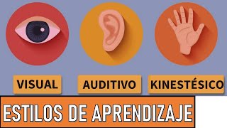 ¿Qué Son Los Estilos de Aprendizaje  Visual  Auditivo  Kinestésico  Pedagogía MX [upl. by Yusem984]