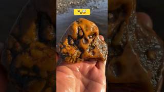 Claw stone found 🐾😱viralshort gemston gemstone viralvideo shorts [upl. by Cumings535]