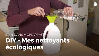 DIY  mes nettoyants écologiques  Bien dans mon appart [upl. by Ilsel140]