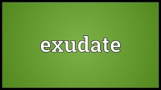 Exudate Meaning [upl. by Groos42]