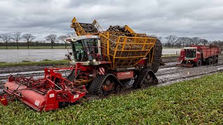 Nothing can stop this Beet Beast  Extreme wet harvest  Agrifac on tracks  W Berkers  Deurne [upl. by Llerahc]