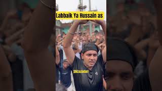 Labaik Ya Hussain as  Naara e Haidari Ya Ali Ya Ali  what’s app status  shorts [upl. by Tahpos]