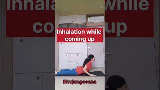 Shashank Asana  Acharya4life  yoga challenge health healthy healthylifestyle [upl. by Nahtanaoj768]