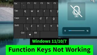 Function keys Not Working in Windows 1110 Sound Brightness PrintScreen Hot Keys Not Working FIX [upl. by Onitnevuj]