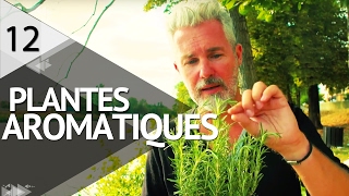 Cultiver des plantes aromatiques  PLANTISTE  ÉPISODE 12 [upl. by Eilagam]