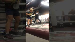 Gerry Peñalosa Boxing Workout 👊 boxing shorts [upl. by Banyaz]