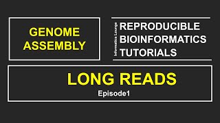 Nanopore sequencing data analysis  Genome assembly of nanopore reads using flye short clip [upl. by Ecneitap513]