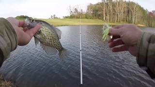 MICRO CHATTERBAIT CRAPPIE [upl. by Sjoberg]