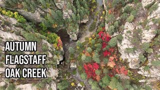 Fall Colors Of Sedona Oak Creek Canyon Flagstaff Arizona [upl. by Elyad]