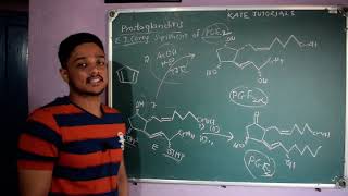 8 EJCorey Synthesis of Prostaglandins  Part B  PGE2  Prostaglandins Chemistry [upl. by Aelam387]