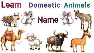 Domestic Animals Name पालतू पशुओं का नाम [upl. by Anoblav]