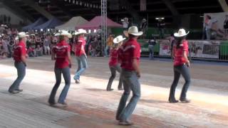 Fast As A Shark line dance  WILD COUNTRY  Voghera Country Festival 2012 [upl. by Alrac]