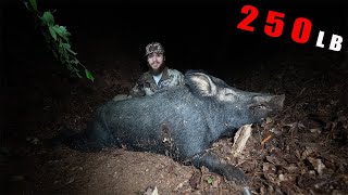 SHOOTING THE BIGGEST WILD HOG Of My LIFE [upl. by Retxed]