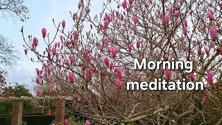 Morning meditation with pink magnolia blooms happy bird sounds and soothing music [upl. by Rosmunda283]