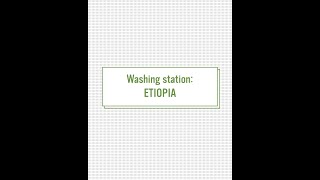 Washing Station  Etiopia [upl. by Einnim]