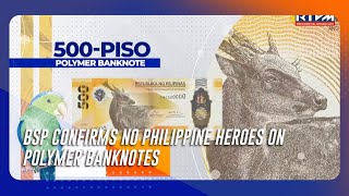 BSP confirms no Philippine heroes on polymer banknotes [upl. by Dloniger742]