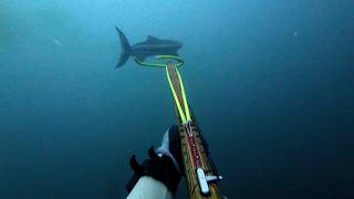 85 WRECK  COBIA BATTLE [upl. by Aronek]