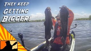 Kayak Catfishing  Drifting Floats for GIANT Channel Cats [upl. by Jain]