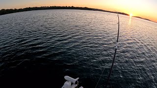 Early Morning Start Pays Off  Fishing Lake Macquarie [upl. by Aitret]