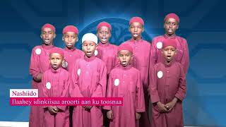 Nashiido somali ilaahay idinkiisa aroorti aan ku toosnaa [upl. by Allimrac452]