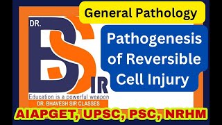 Pathogenesis of Reversible Cell Injury  General Pathology  Pathology  DrBhavesh Sir Classes [upl. by Acirred]