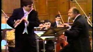 RAMPALARIMANYMOZART FLUTE CONCERTO [upl. by Ayatnwahs]