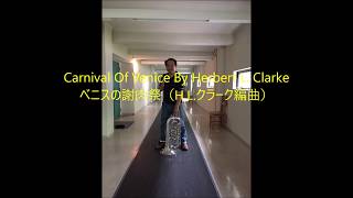 Carnival Of Venice By Herbert L Clarke ヴェニスの謝肉祭（HLクラーク編曲） [upl. by Eekram]