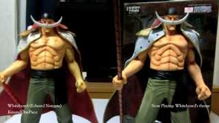 Portrait of Pirates DX Whitebeard Edward Newgate Figure Review  Comparison with a fake [upl. by Annas]