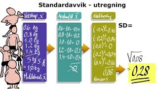 4 Standardavvik SD  teori og beregning [upl. by Eiramik918]