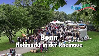 Bonn  Rheinaue  Flohmarkt  RheinEifelTV [upl. by Euqinimod]