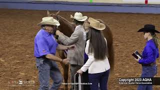 2023 Youth 2YearOld Geldings  AQHYA World Championship Show [upl. by Brighton]