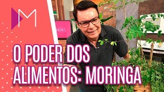 O poder da Moringa  Mulheres 19112018 [upl. by Leimad]