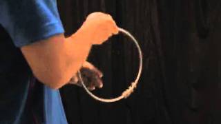 How To Do Tricks  180  Chatter Ring チャッターリングジターリング等） [upl. by Akenahc]