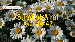 Ziyad Patel Surat AlAraf 4047 [upl. by Dallman]