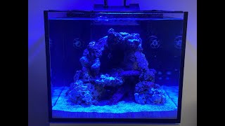 Red Sea Reefer 170 Aquarium Setup Reef Tank [upl. by Ayatnahs]