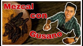 Mezcal con Gusano ¿Por qué el mezcal tiene gusano 😱🐛 [upl. by Fabron]