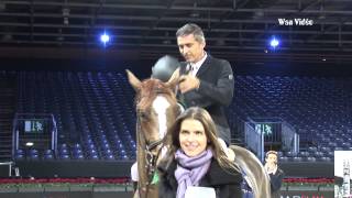 Gucci Paris Masters November 29th  Invitational 1m25 [upl. by Easton]