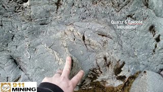 Quartz Veins amp Epidote Nodules In A Greywacke Host Rock [upl. by Annayhs]