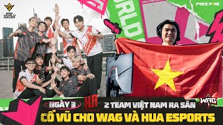 WAG CÂN 3 TEAM THAILAN  2 TOP 1 TẠI VÒNG BẢNG CHUNG KẾT FREE FIRE THẾ GIỚI BRAZILL 2024 [upl. by Yager]